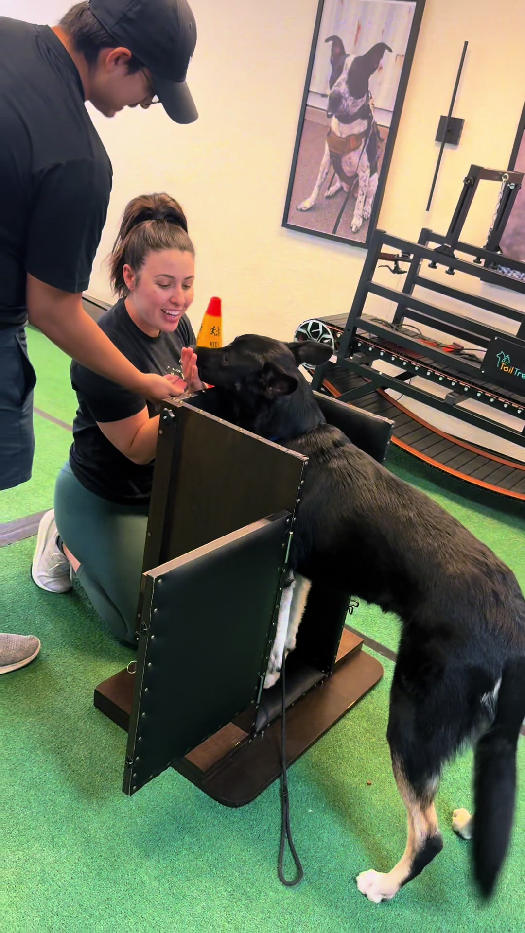 @Tactical K9s Dog Training