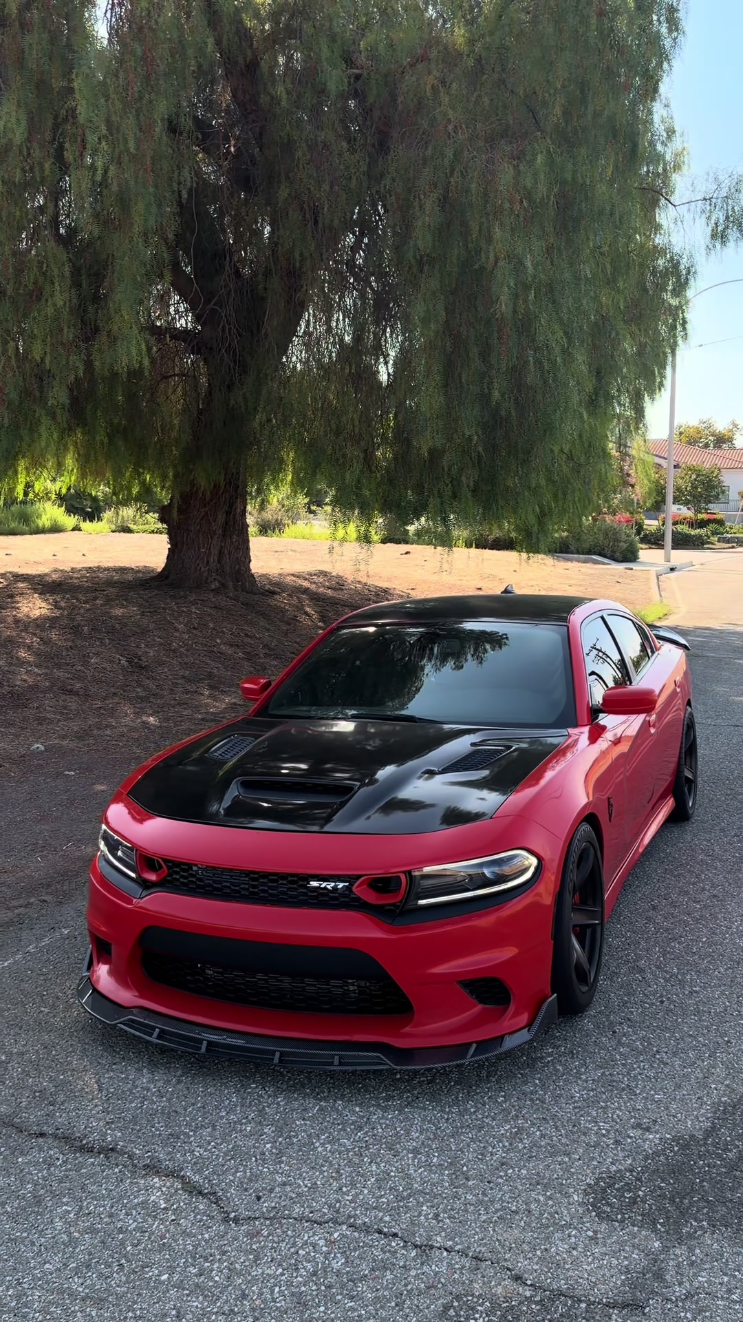 @srtsharm