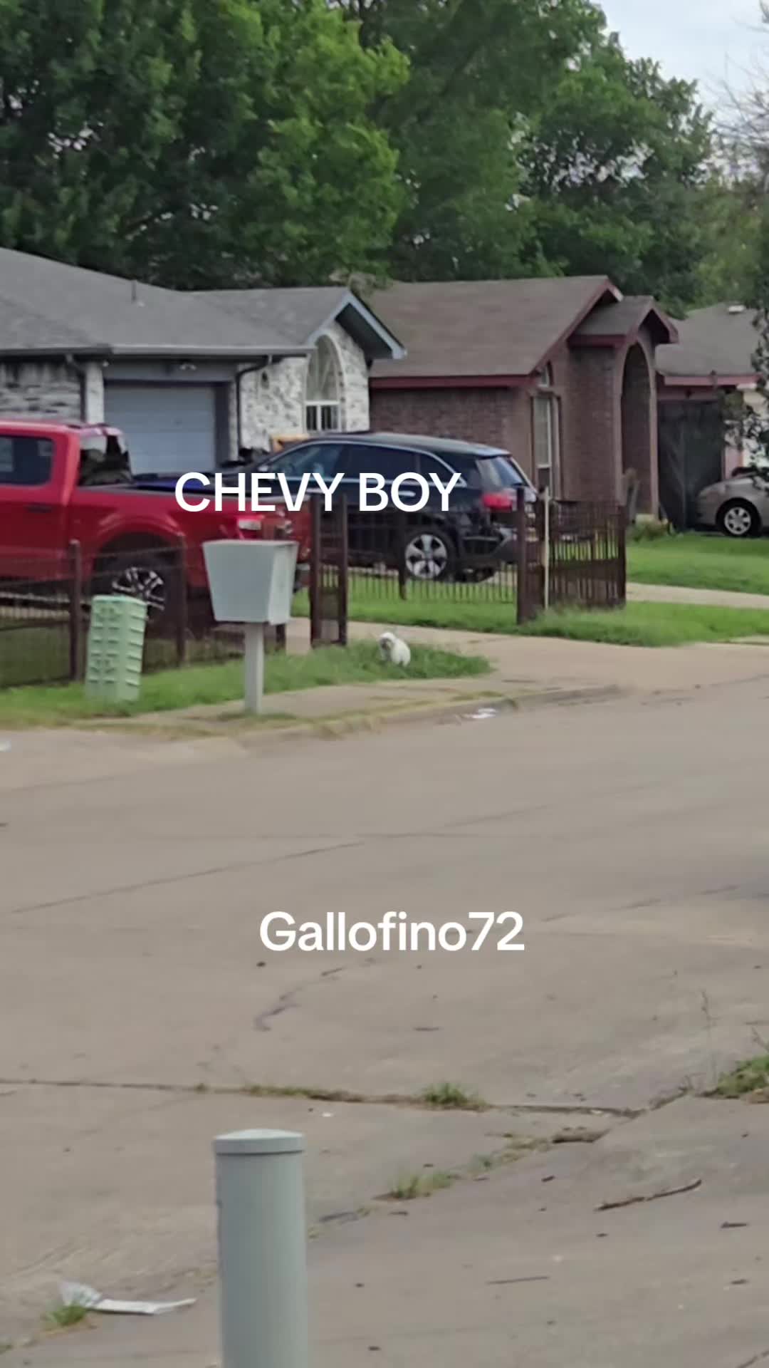 @ElGalloFino
