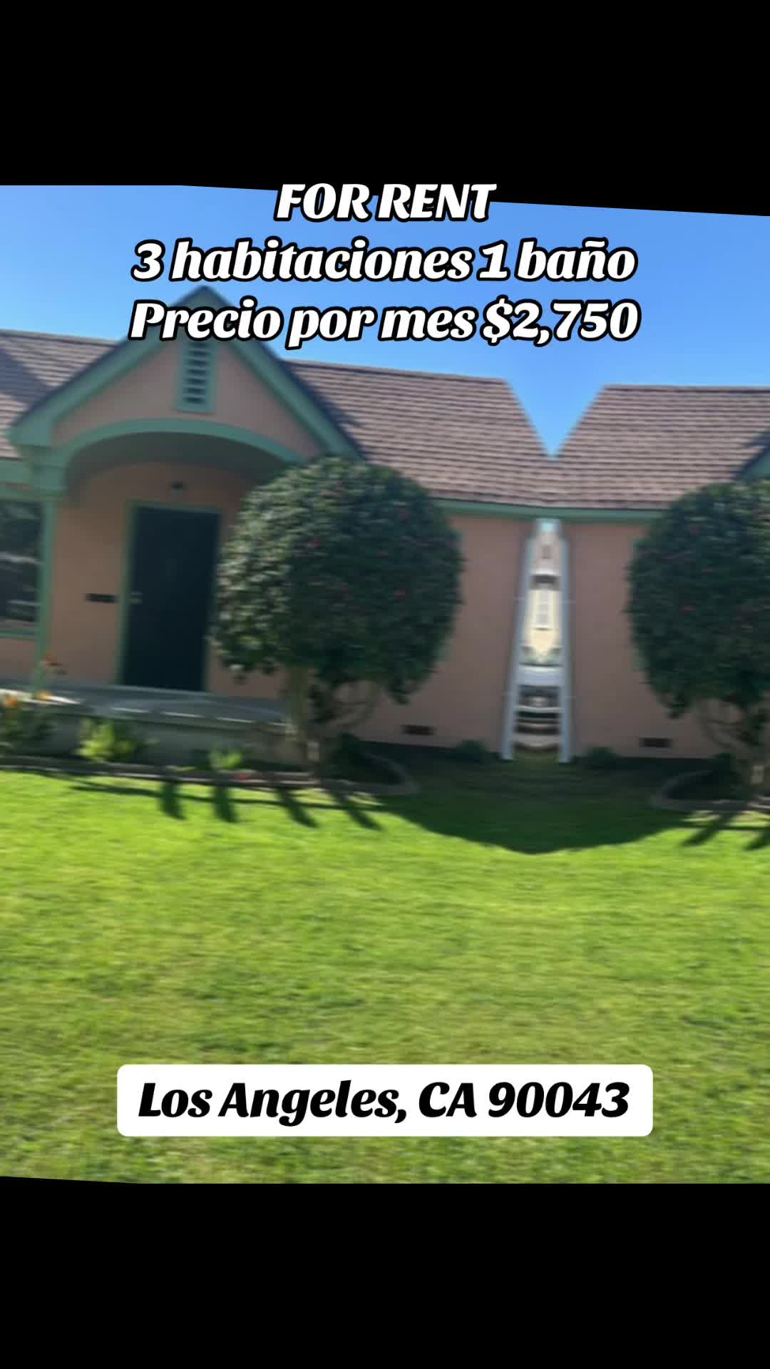 @Ray G&aacute;lvez REALTOR&reg;
