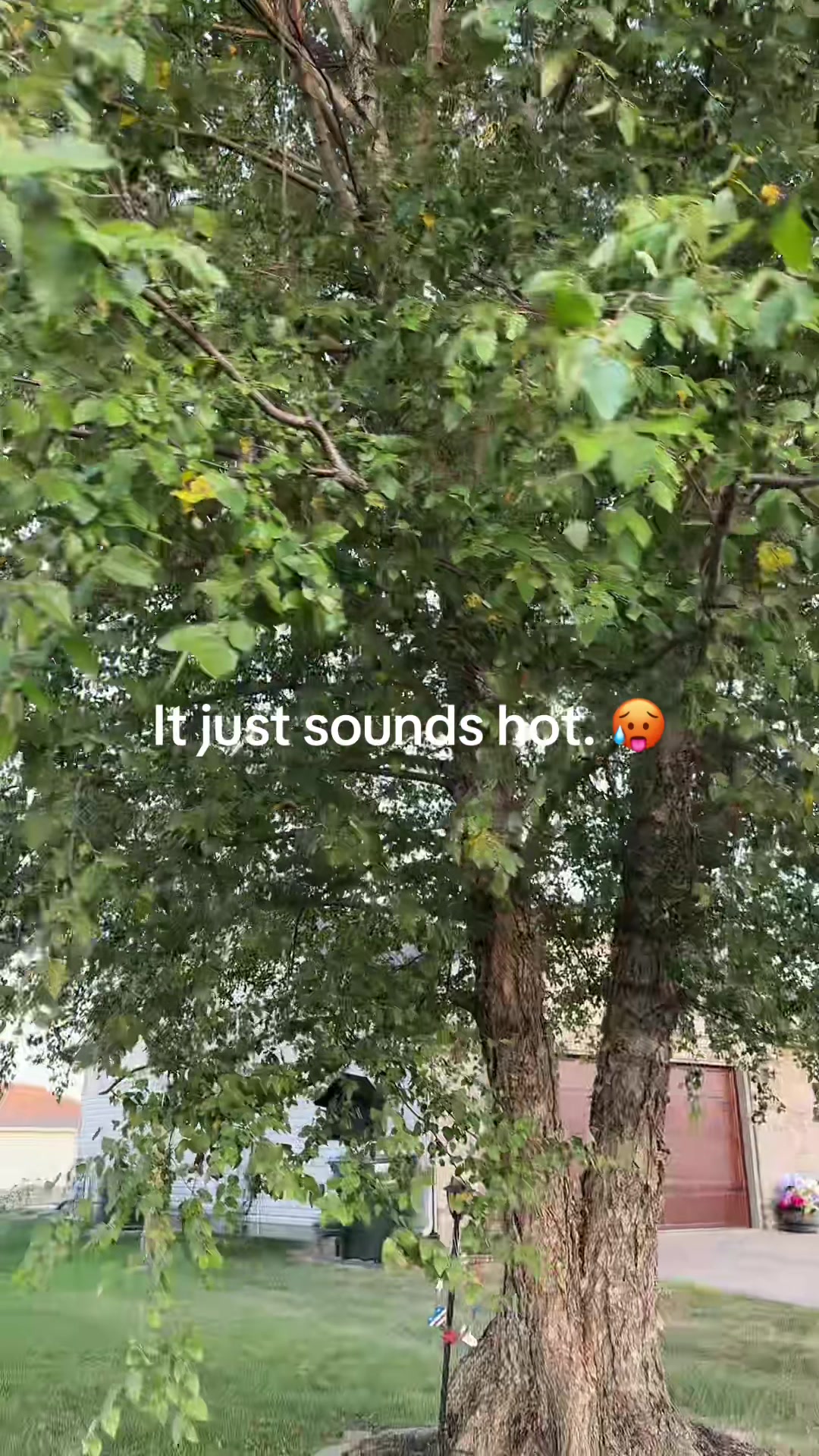 @SarahNotSara