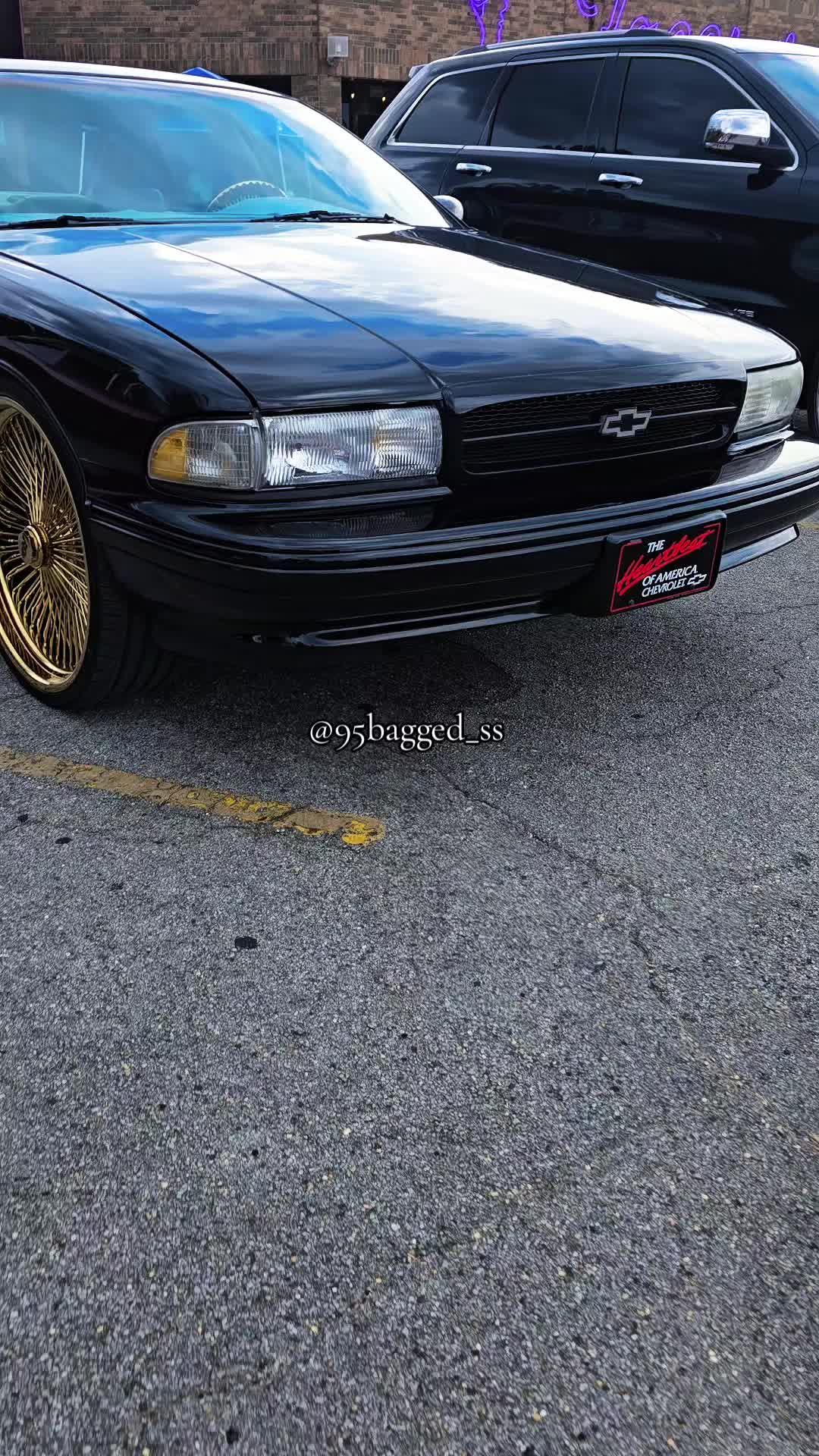 @95bagged_ss