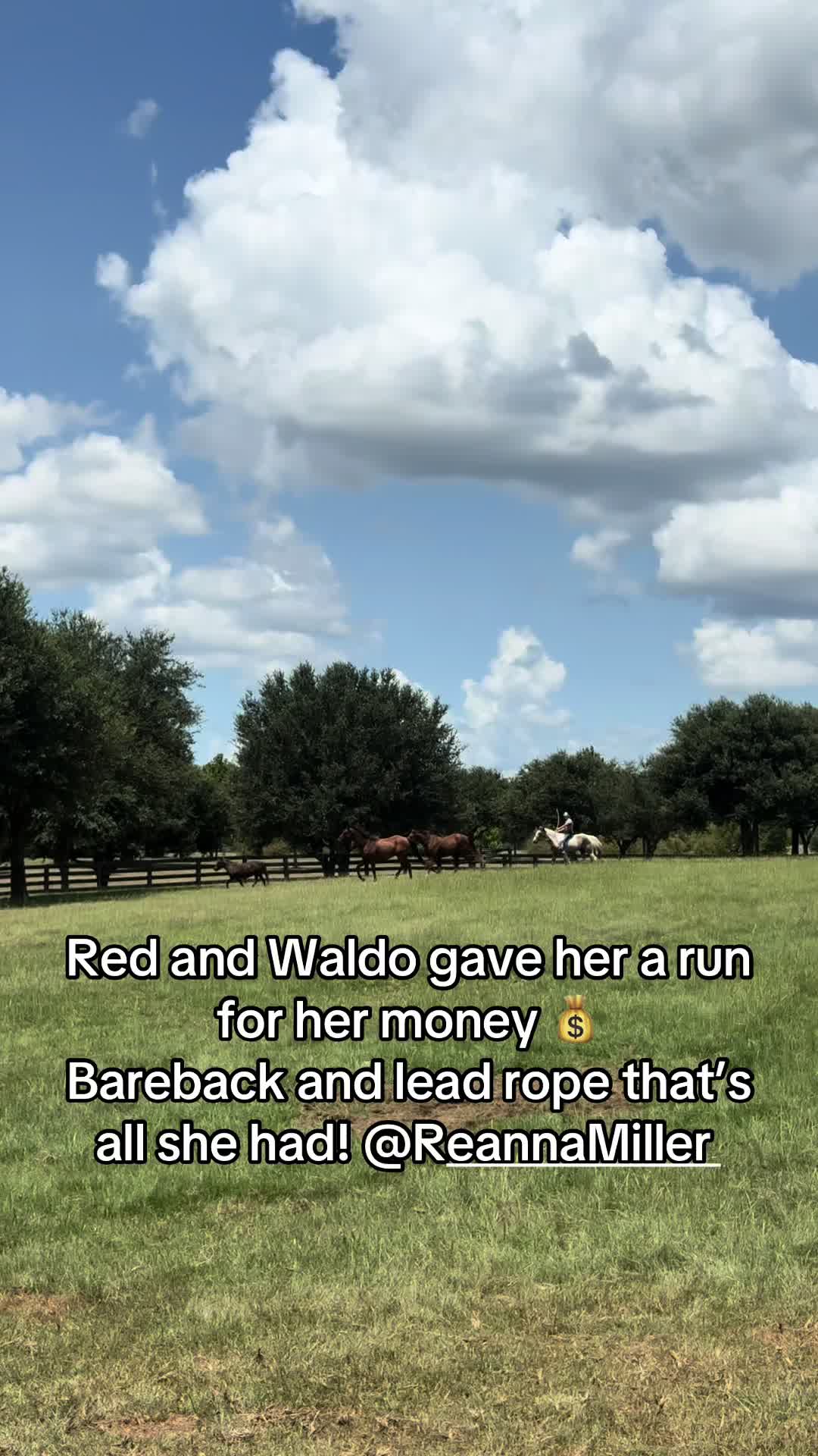 @bestlifetexas