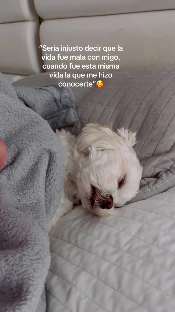 @AZUL🐶🥰