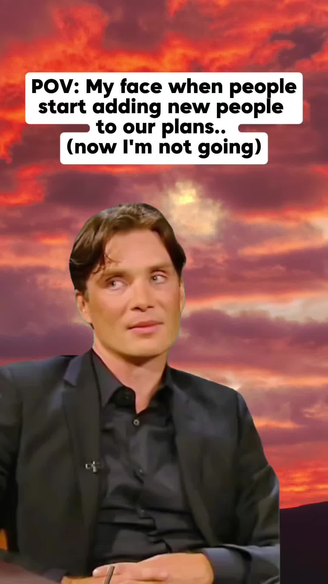 @Amanda Rose