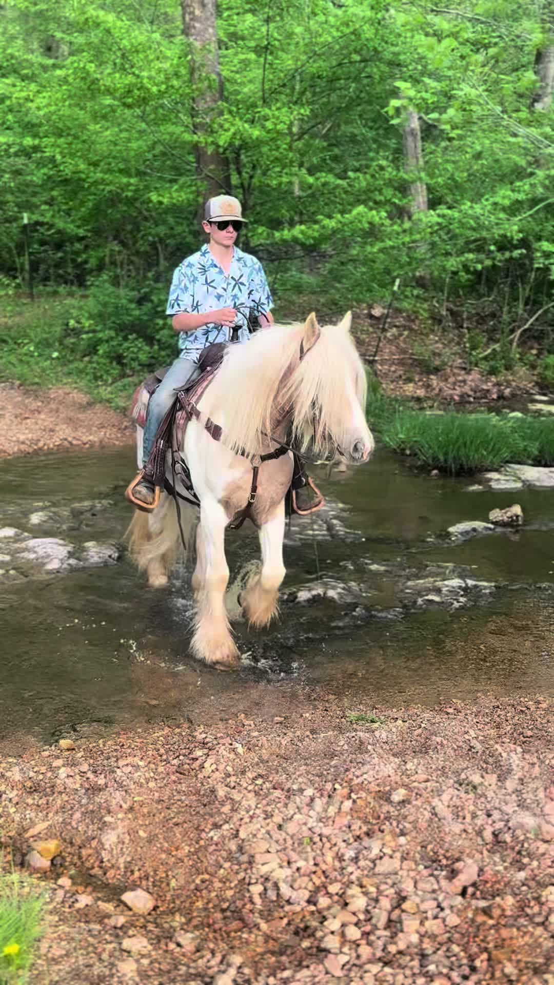 @Lucky D Ranch 🍀
