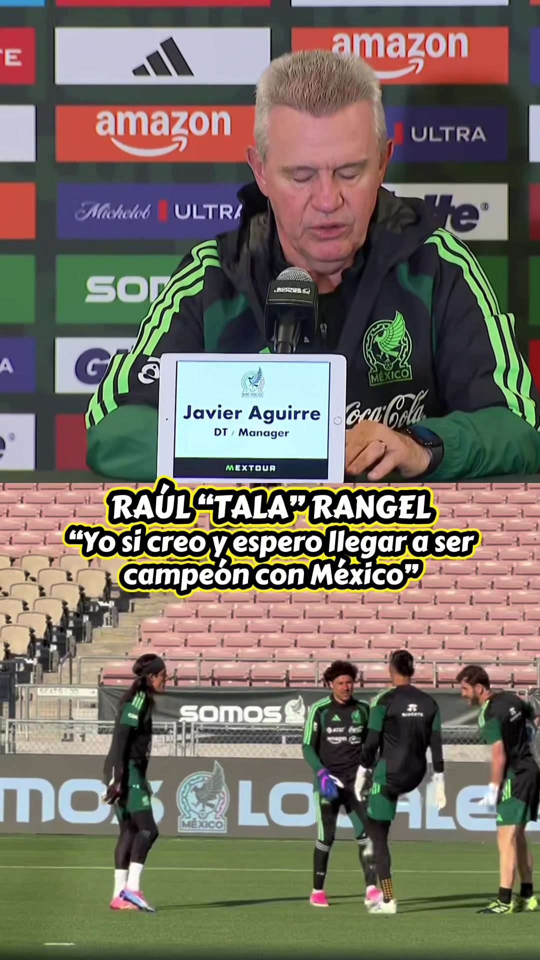 @javirenovatotv