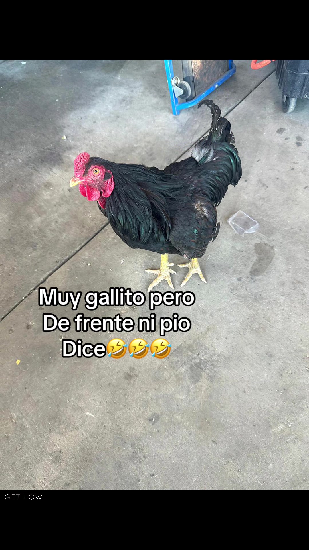 @patricia aguilar