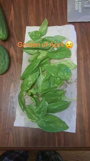 @Fayem🧚&zwj;♀️✨️🌼🌸🌻🧚&zwj;♂️