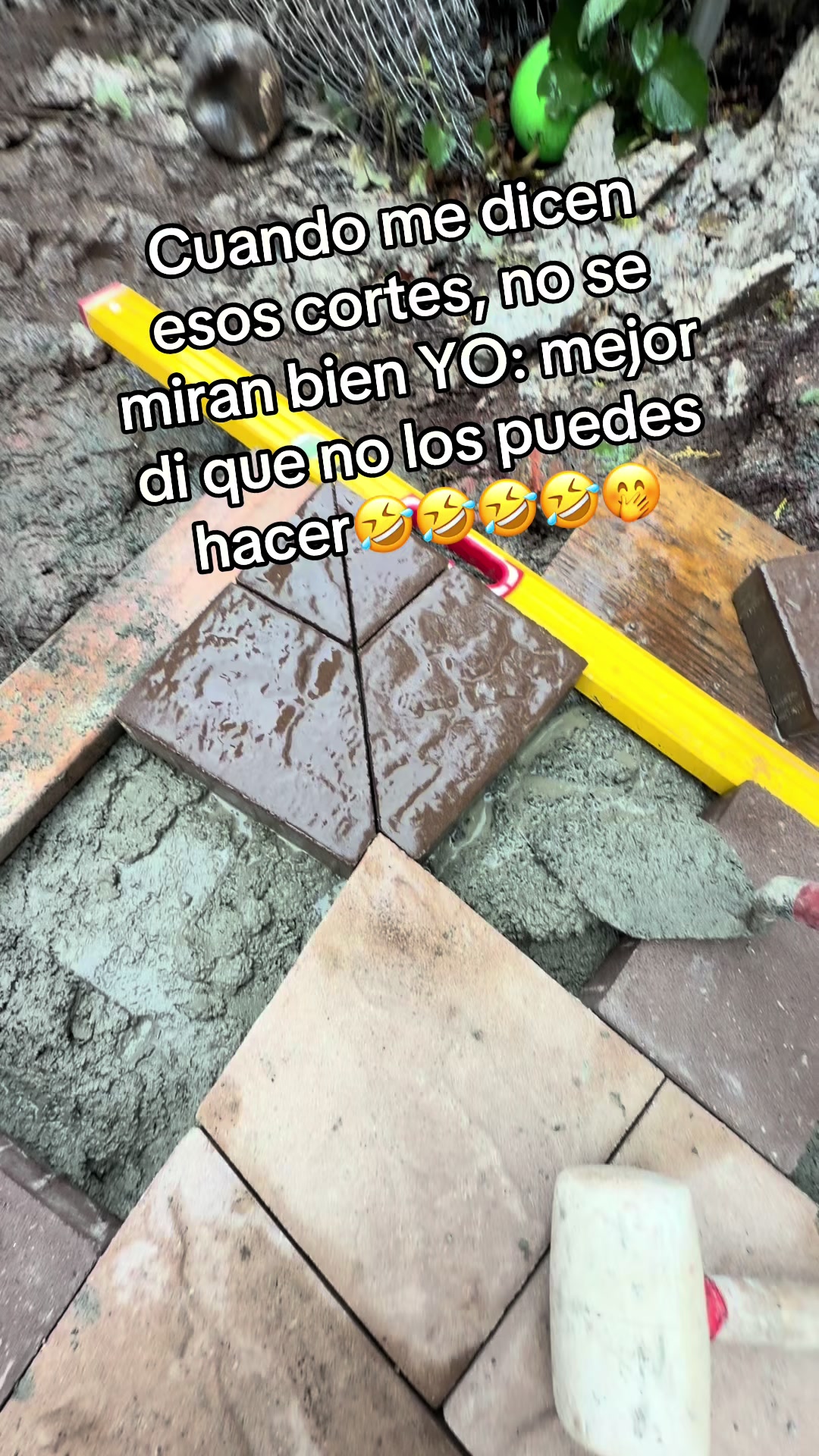 @elbambis1oficial