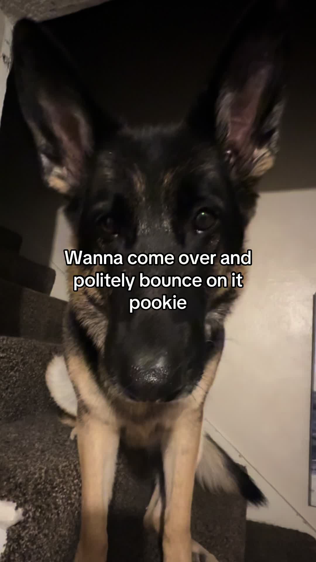@Bhris