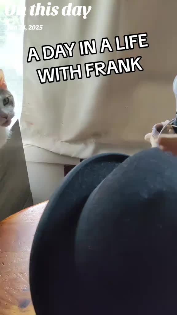 @🍺🎲Oogey Boogey🎲🥃🧿📿🕯️