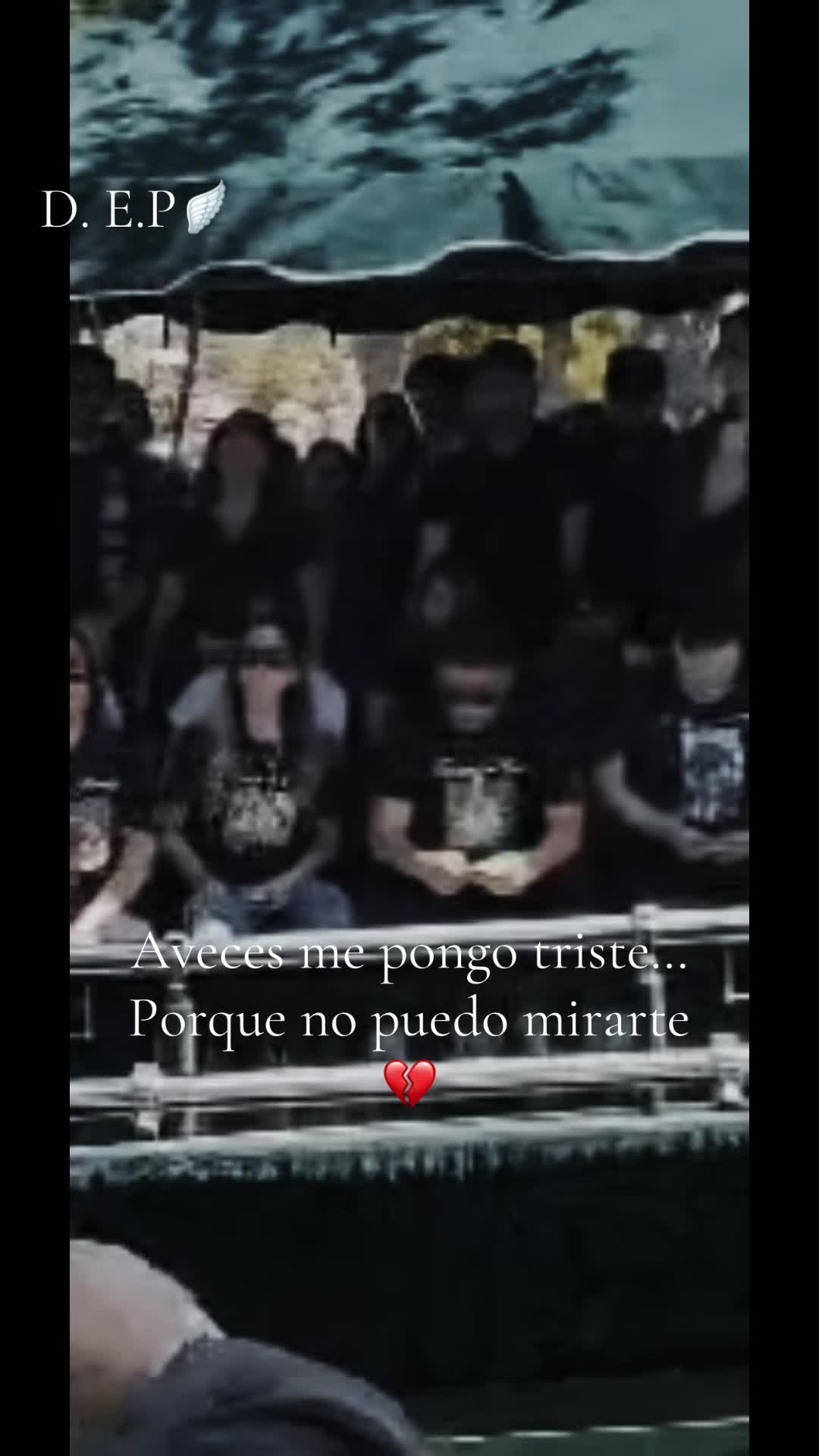 @Angelica Varela