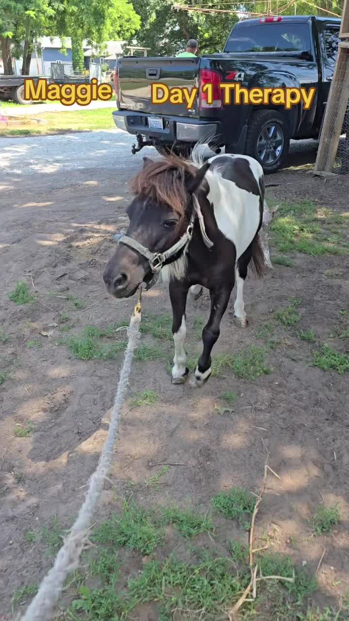 @Small Town Farm LLC