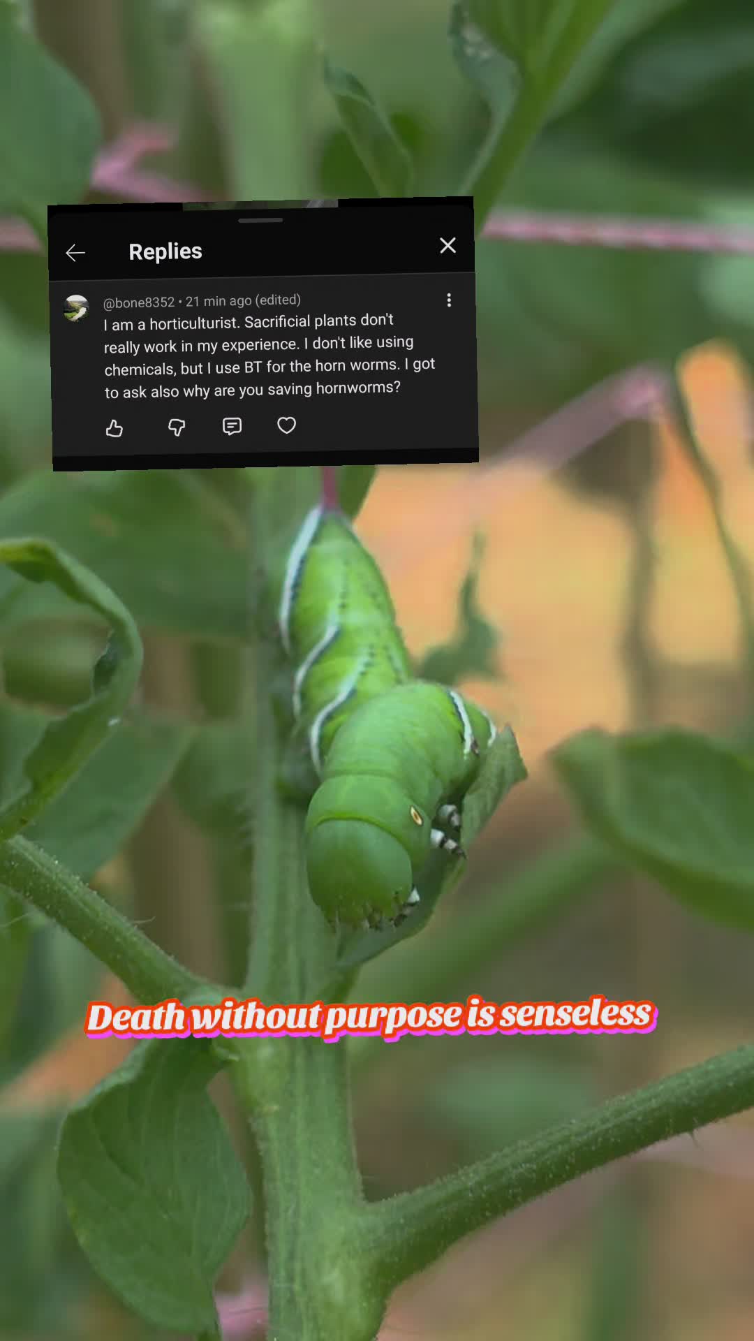 @🧚🏻&zwj;♀️🌳Faerie3xotic🌳🧚🏻&zwj;♀️