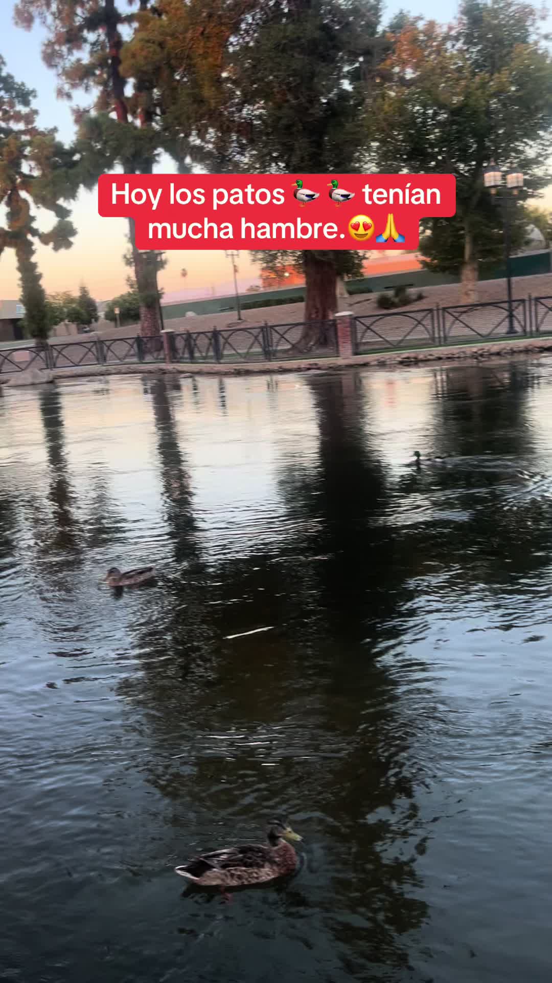 @platicandoconkarmen