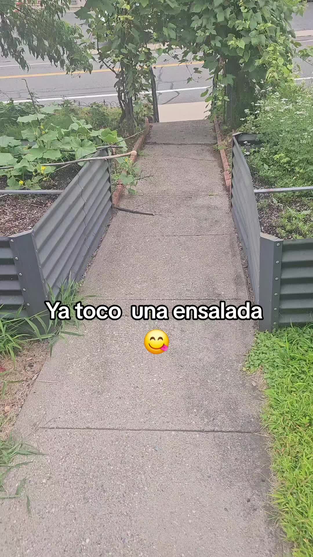 @Salomón Lima 🏹🇪🇨🤗