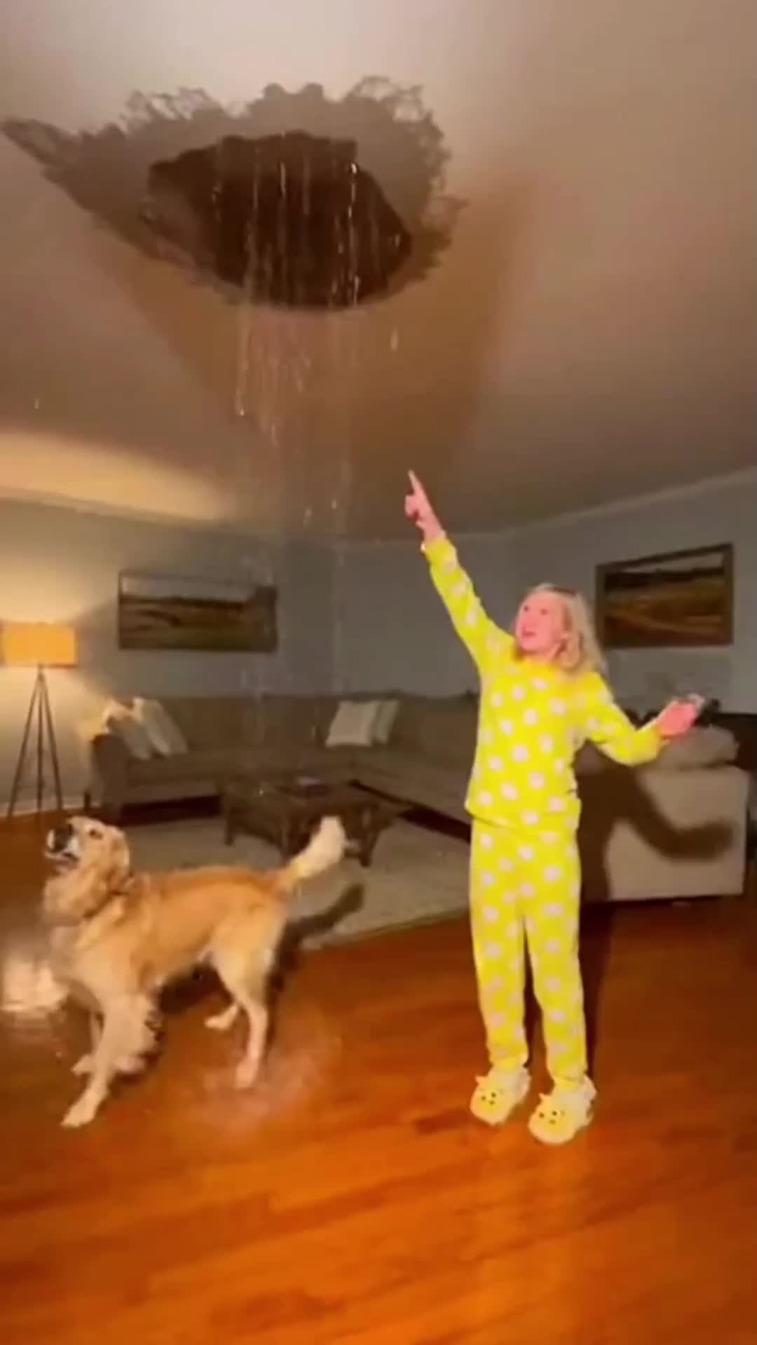 @The Animal Diary