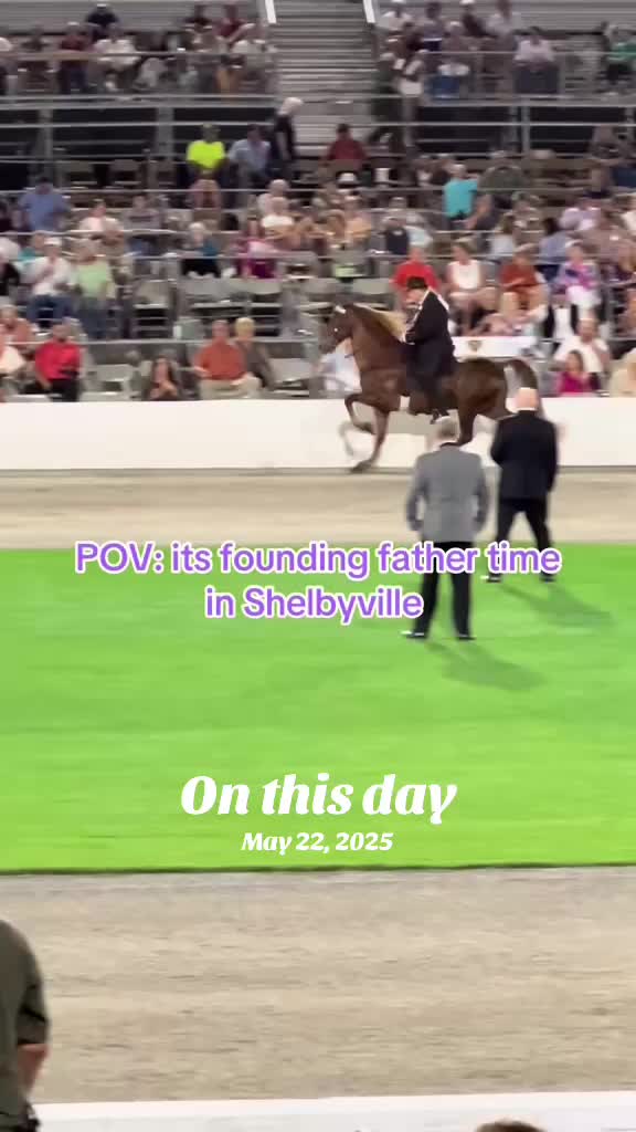 @EightyDollarStables