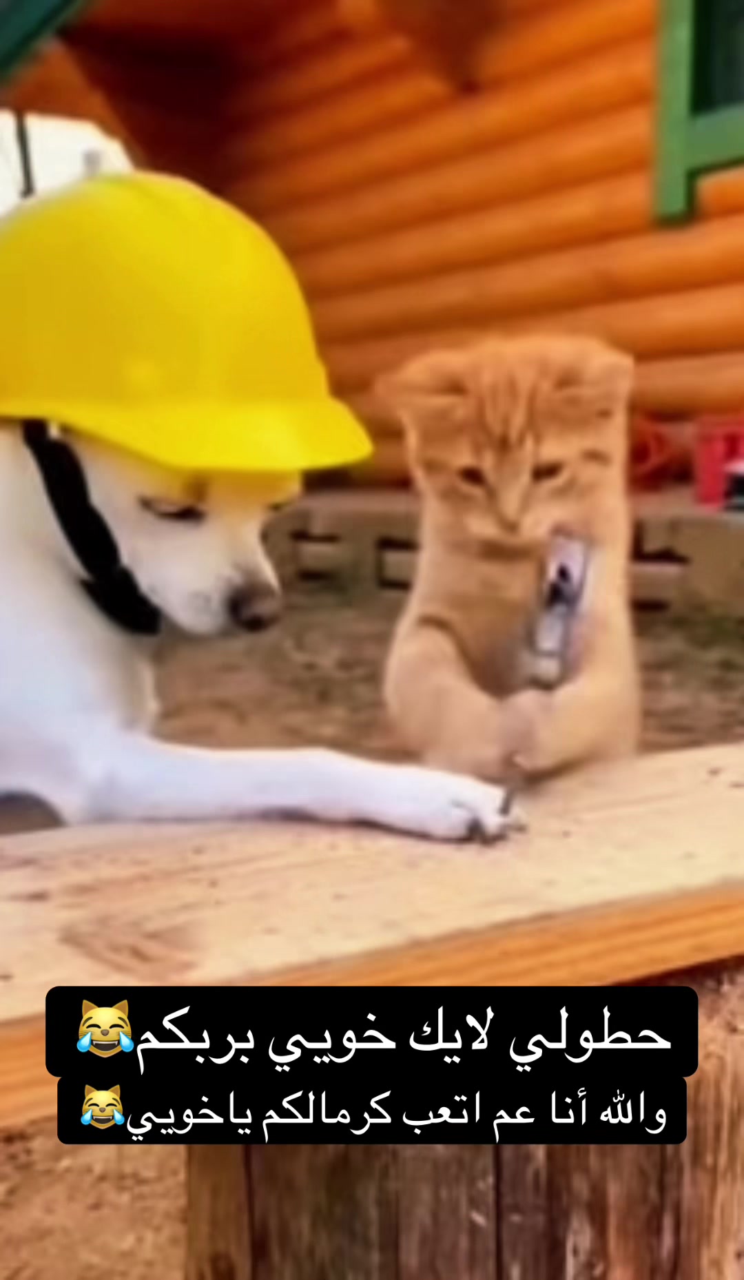 @سيناريو سريع😹