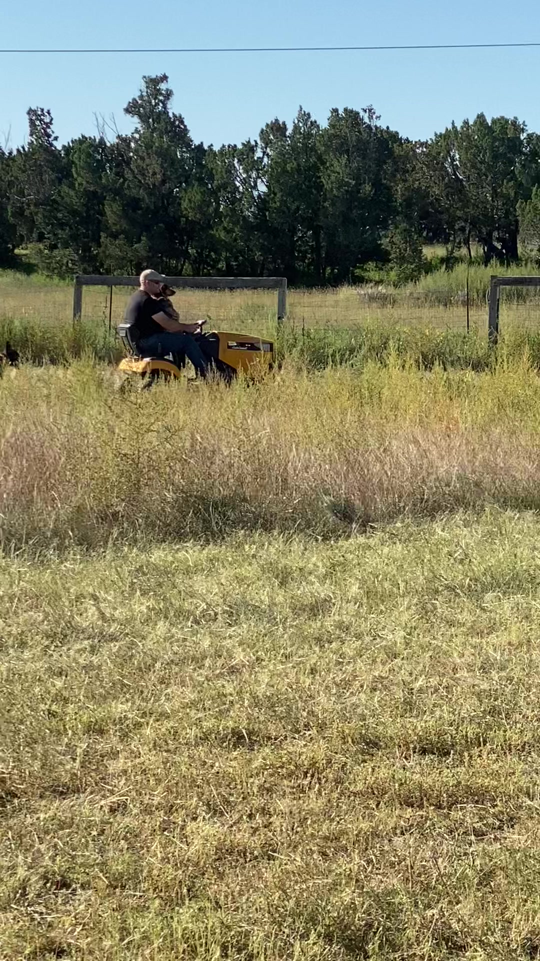 @SweetBeesFarms