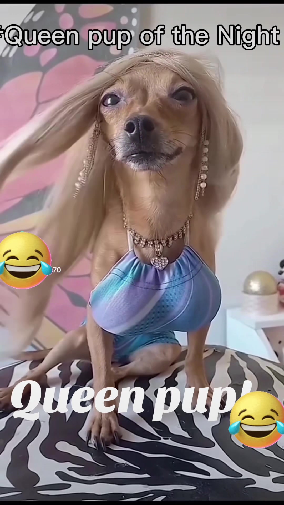 @Gidget Love