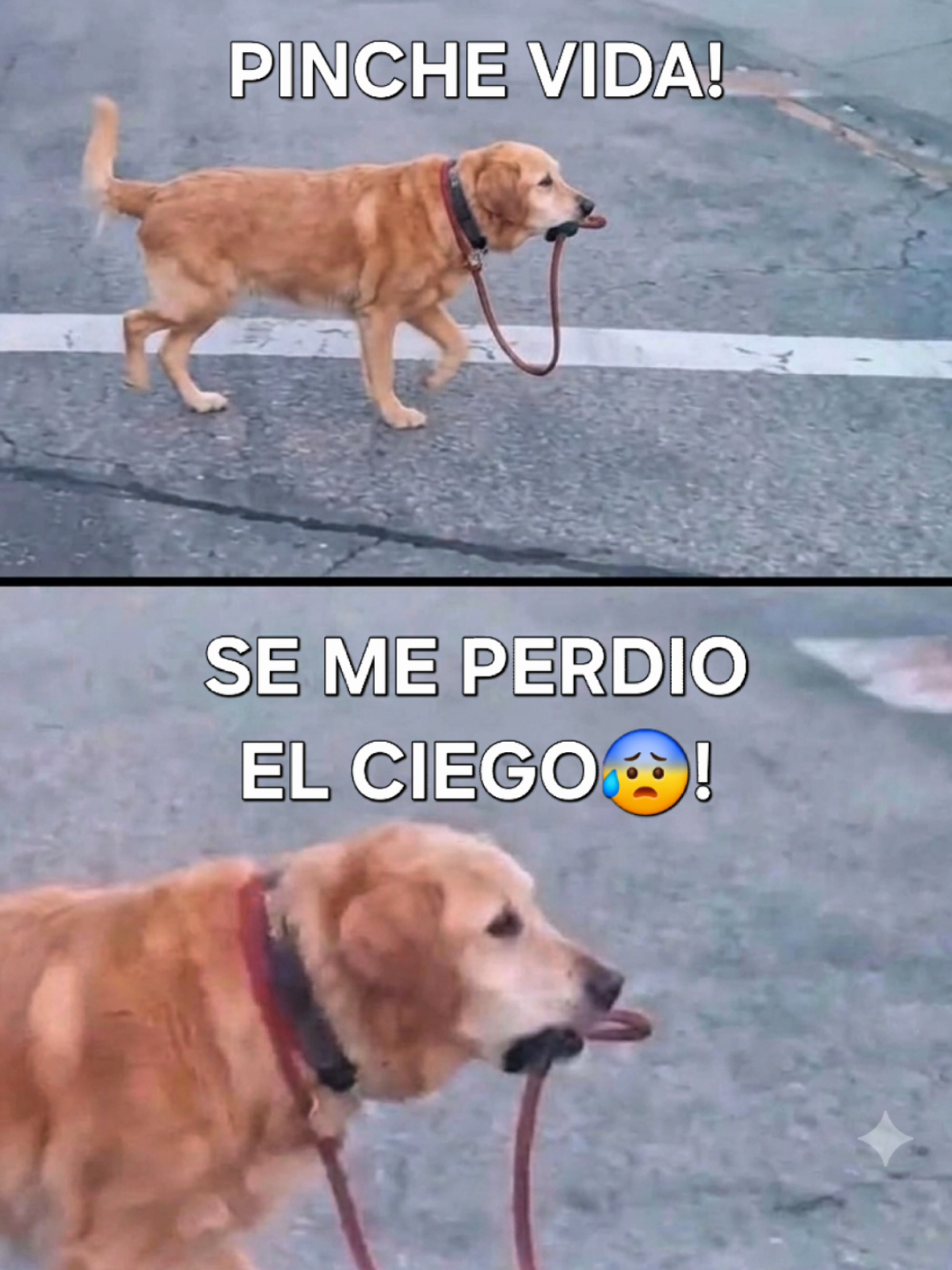 @Omar Vargas