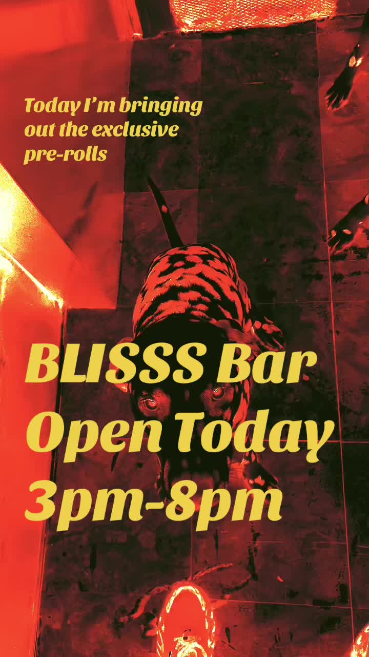 @djblisss5