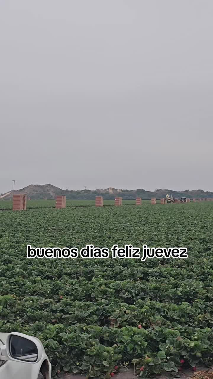 @🇲🇽🐦&zwj;⬛🪺VASQUEZ🚚🌪💎