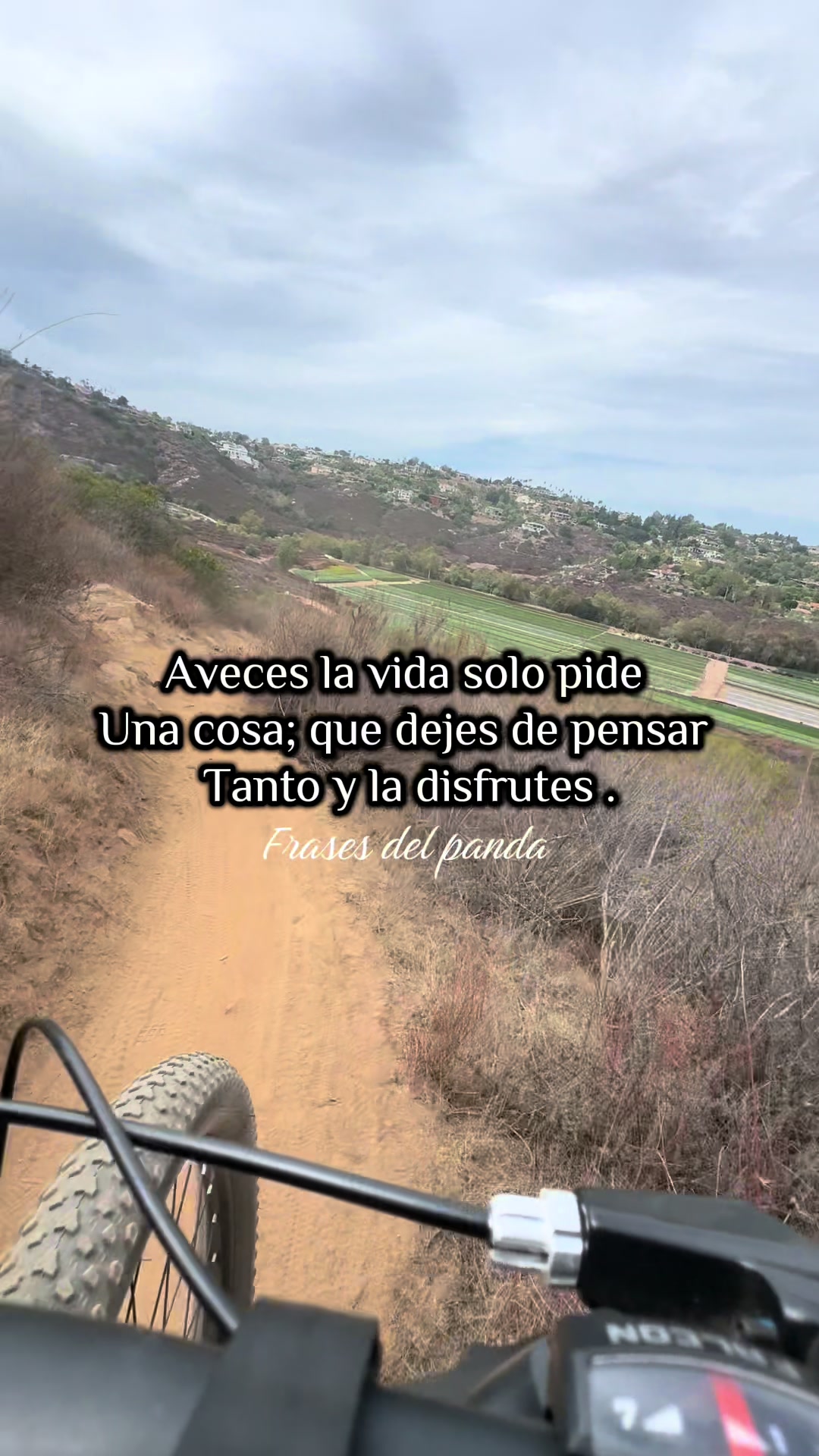@frases del panda 🥷🏽