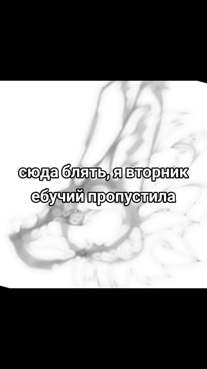 @пипидон🦈