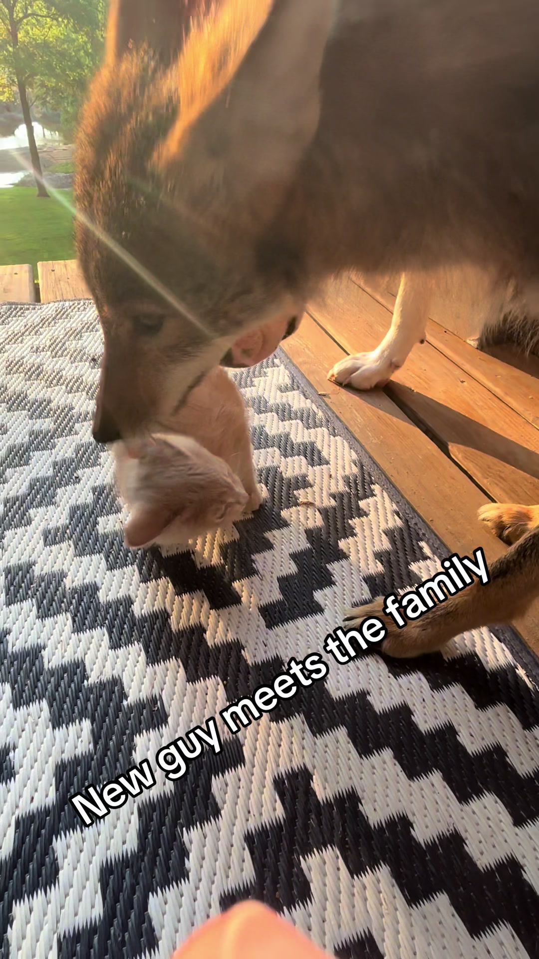 @ittybittyfarm1