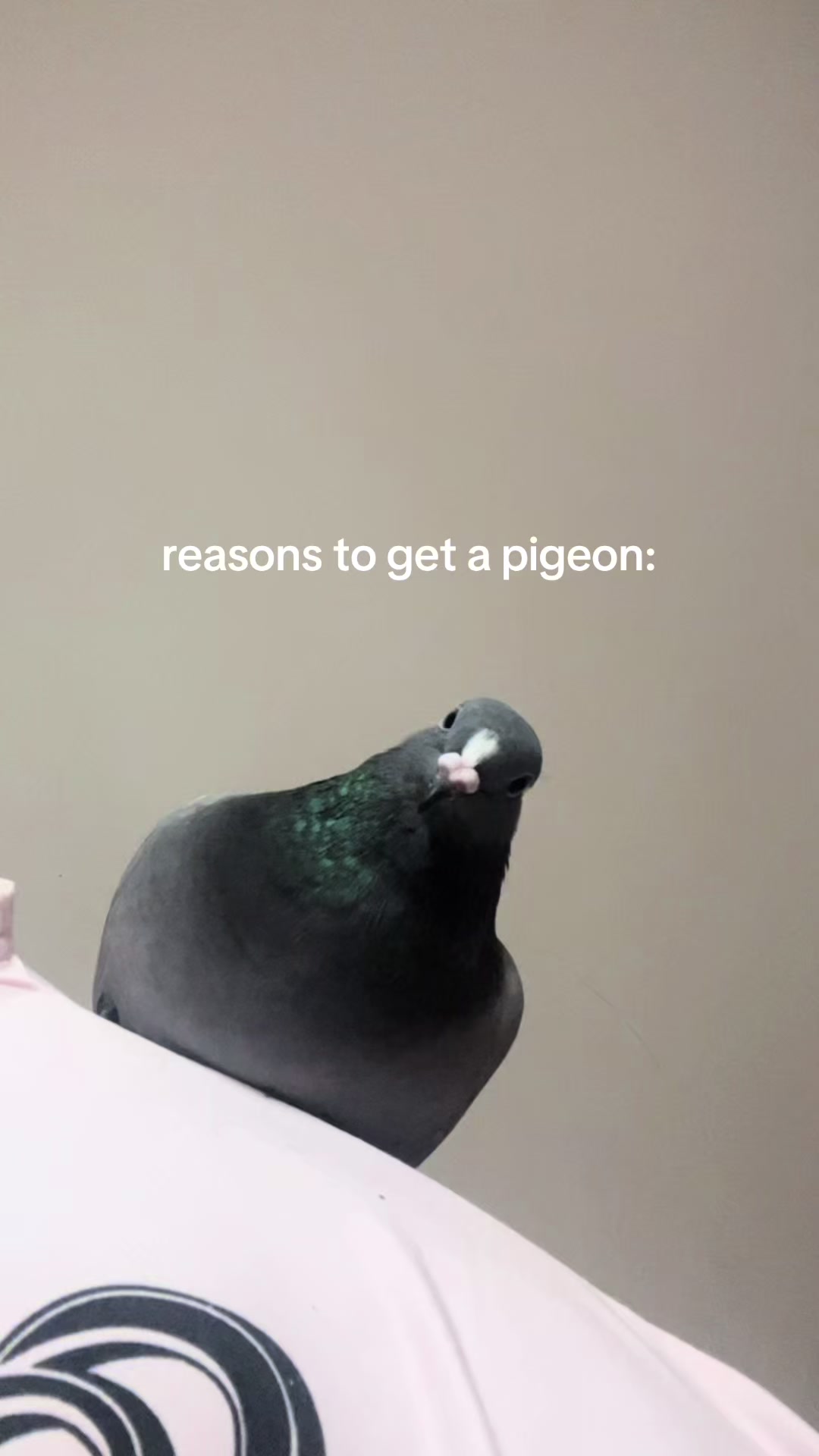 @heaven