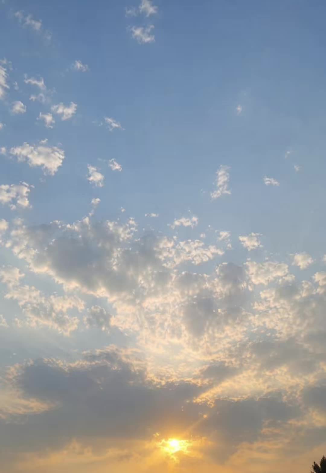@𐙚 ̊ ℛℴ𝓈ℯ ꒰ ᧔ෆ᧓ ꒱
