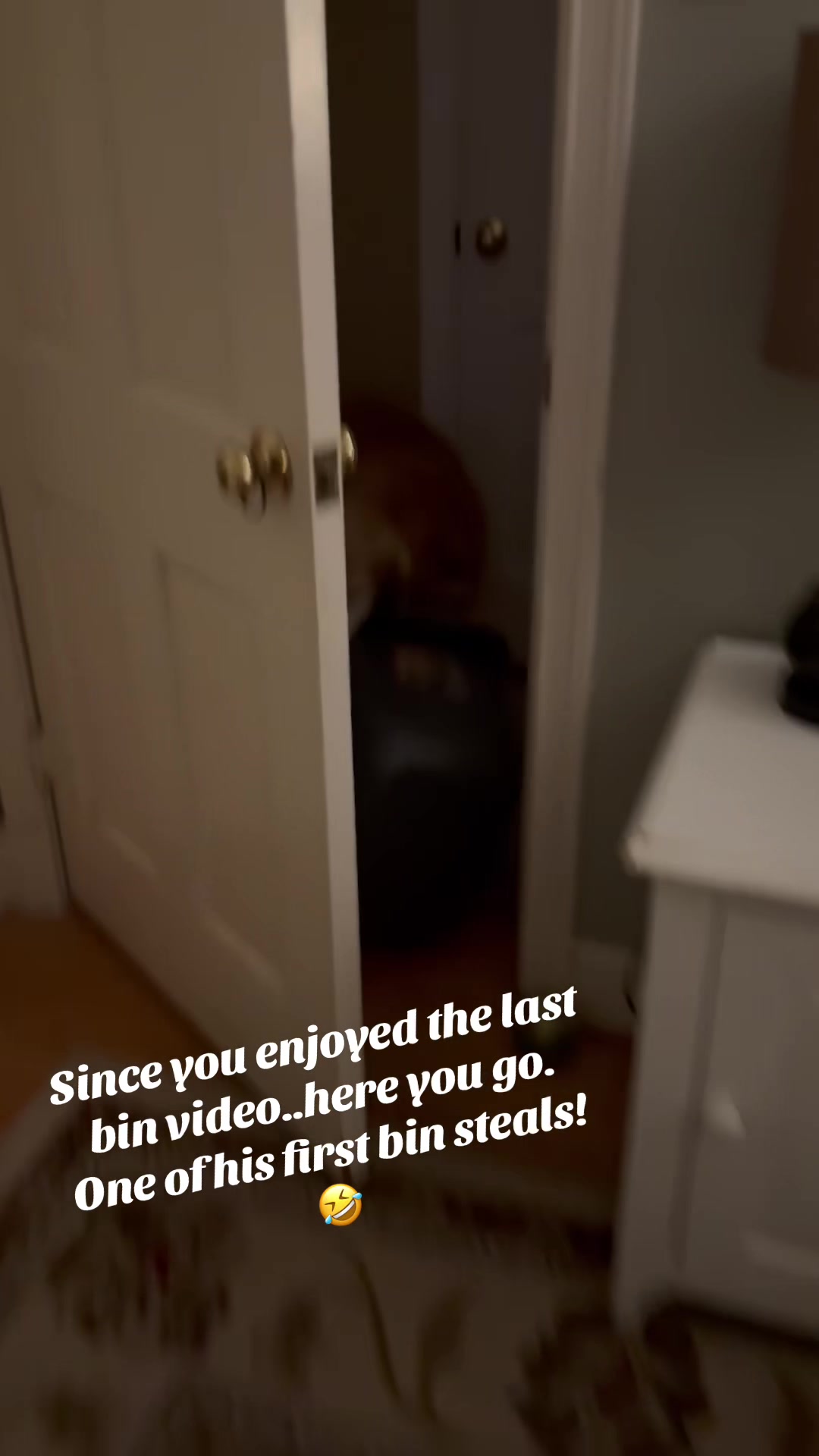 @lifewithduke2025
