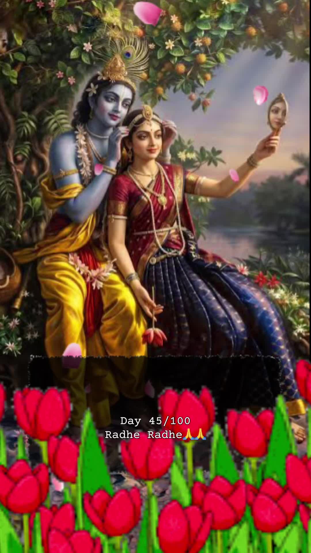 @RadheKrishna🦚🦚🙏🙏