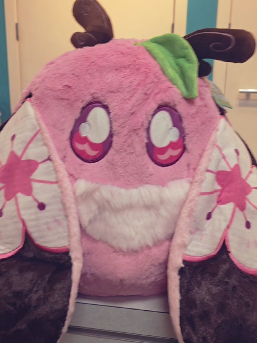 @Squishables_boisetowne&sup2;