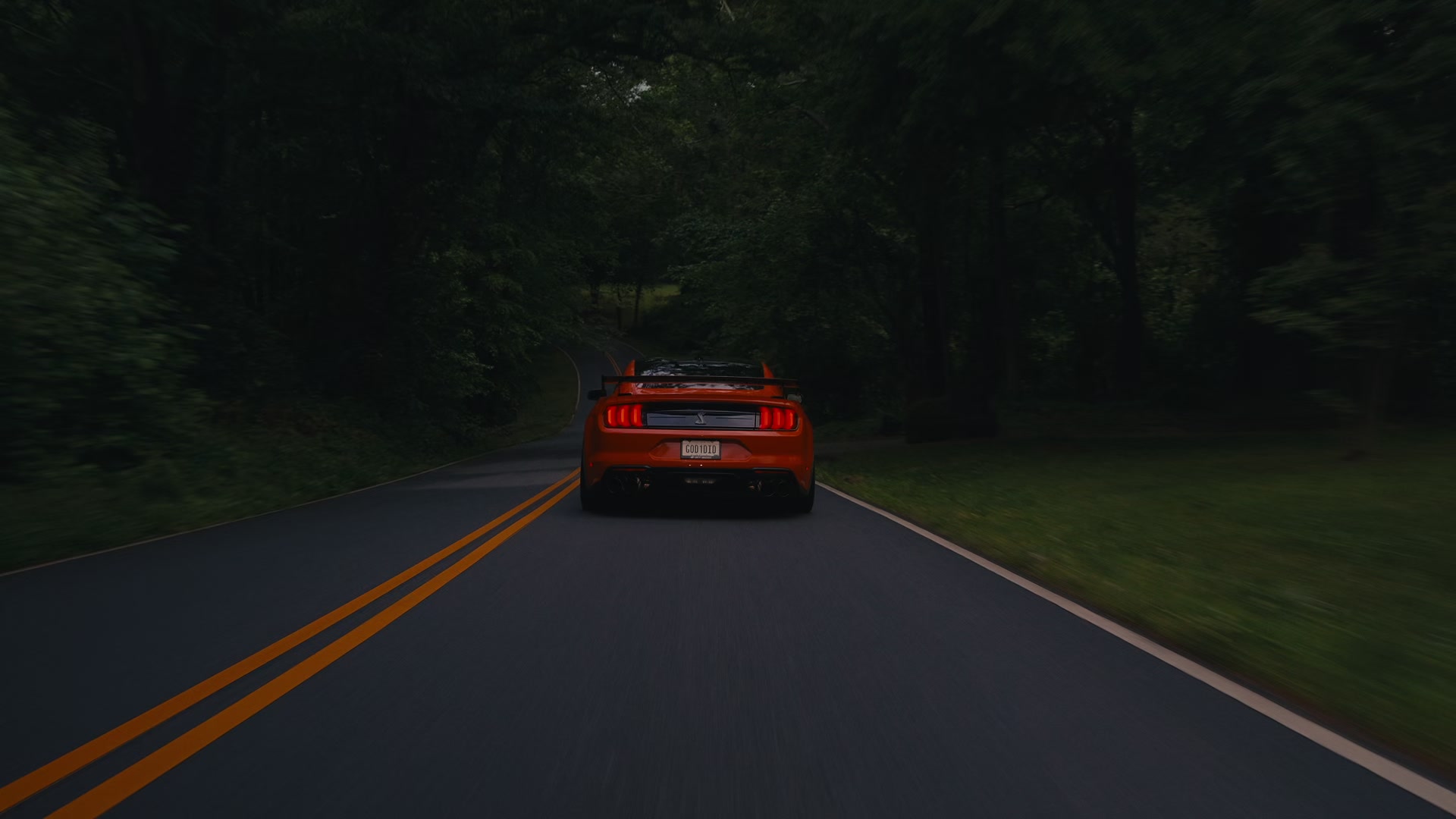 @Allmotive Media