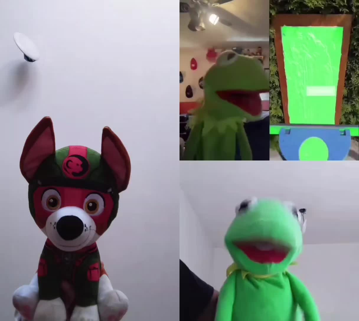 @Kermit The Frog Tiktok