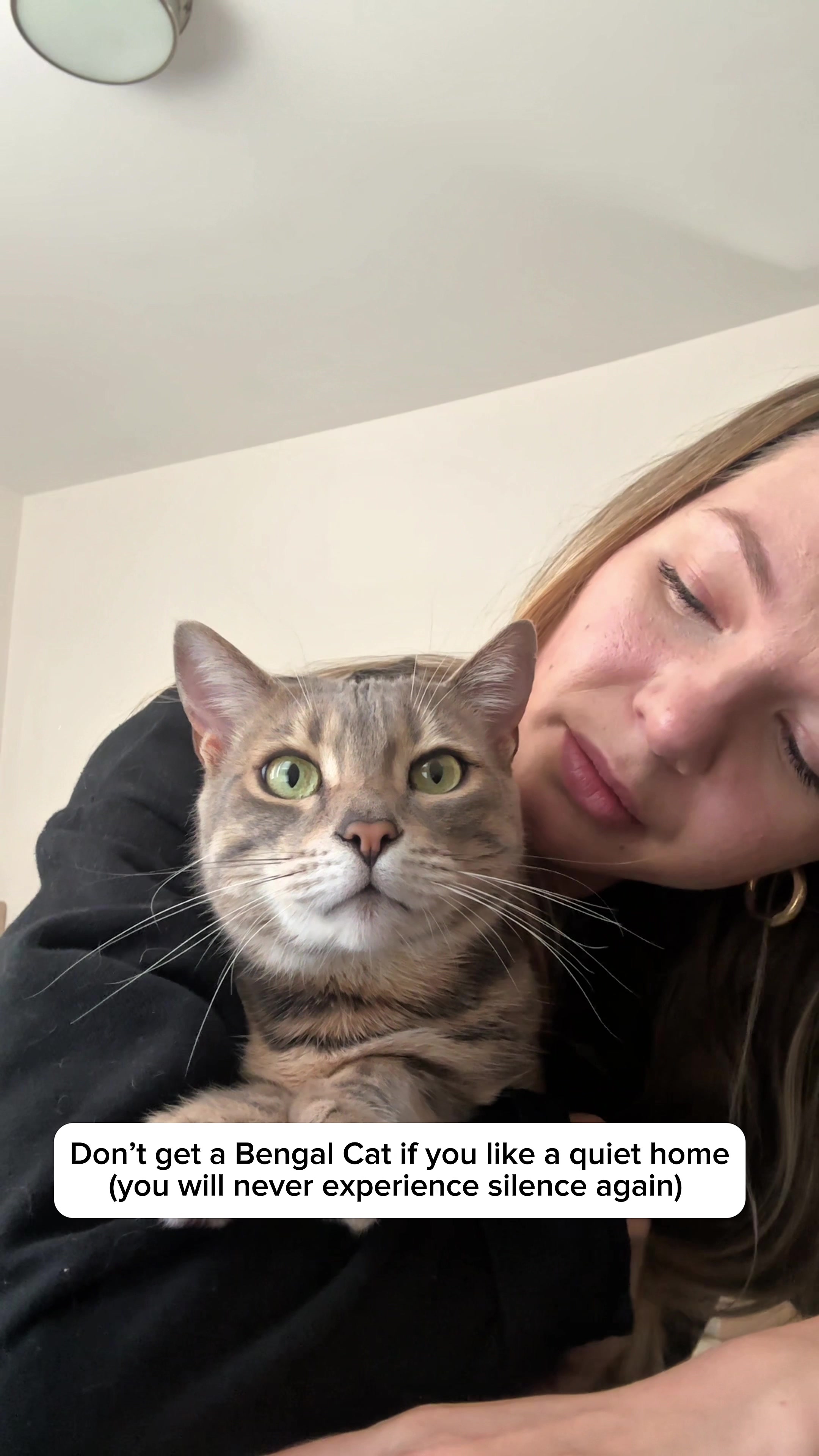 @Mochi the Bengal