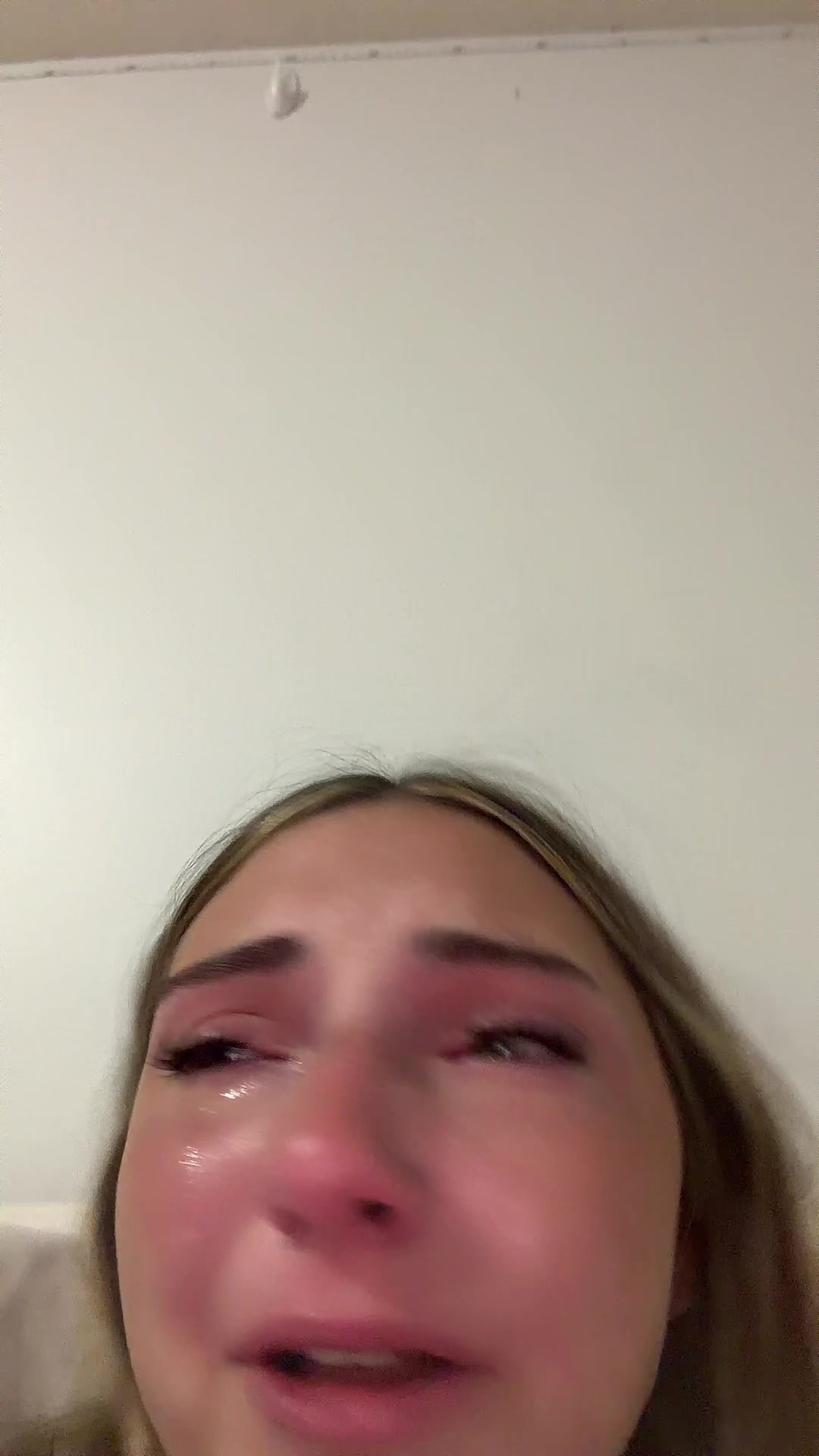 @lex 🦦
