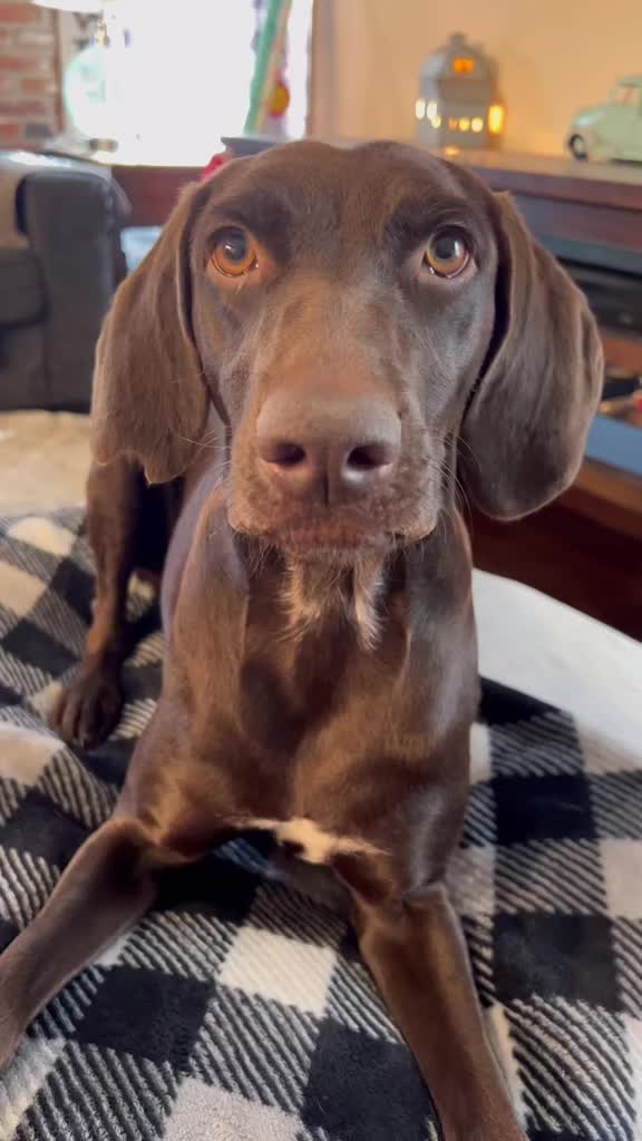 @alice_the_gsp