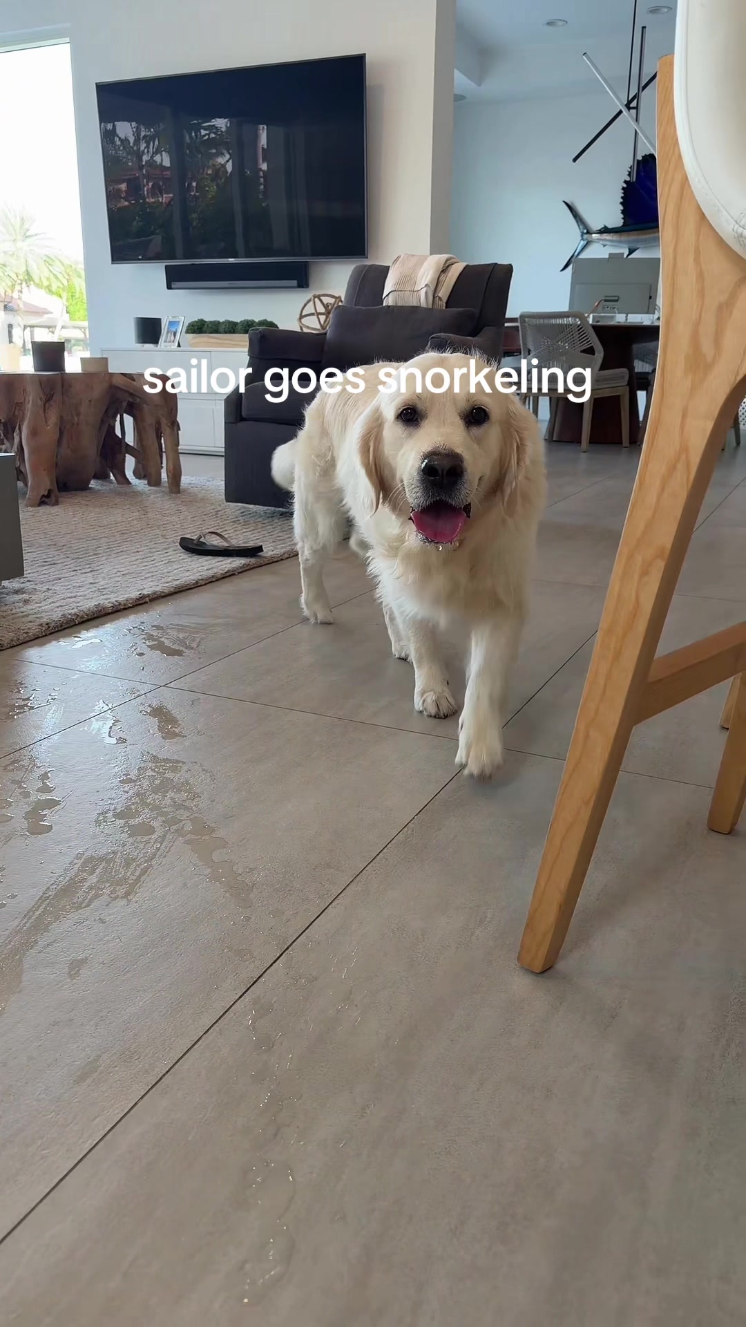@d