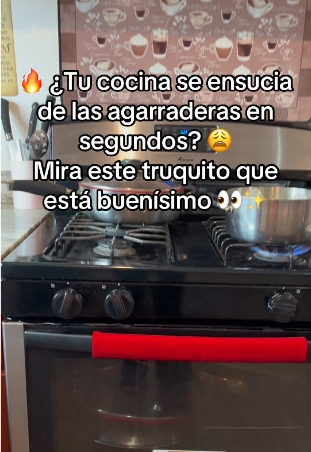 @🌸 Chuy🌸