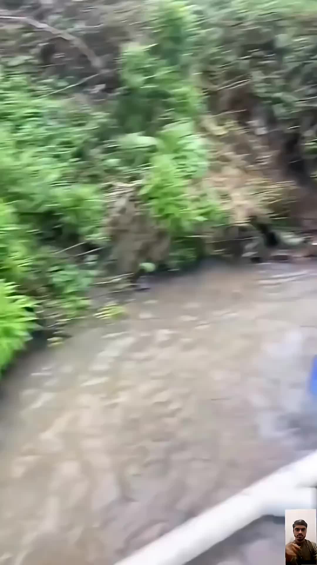 @ukfunny335