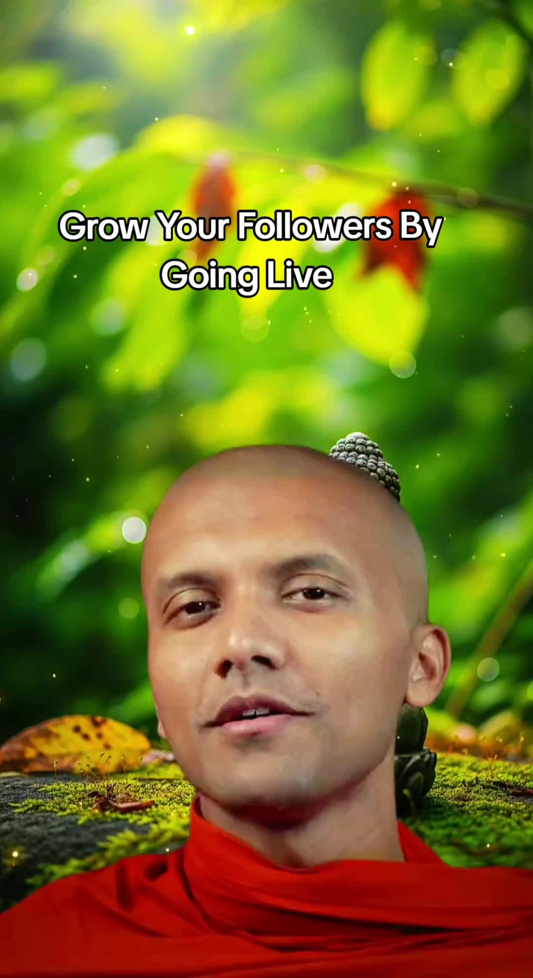@Buddhism Fans
