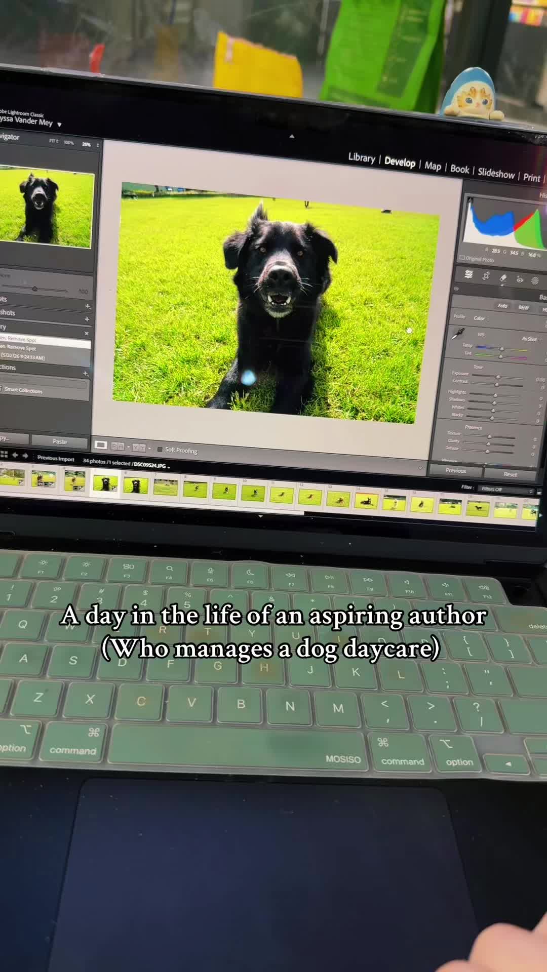 @author_AlyssaVM