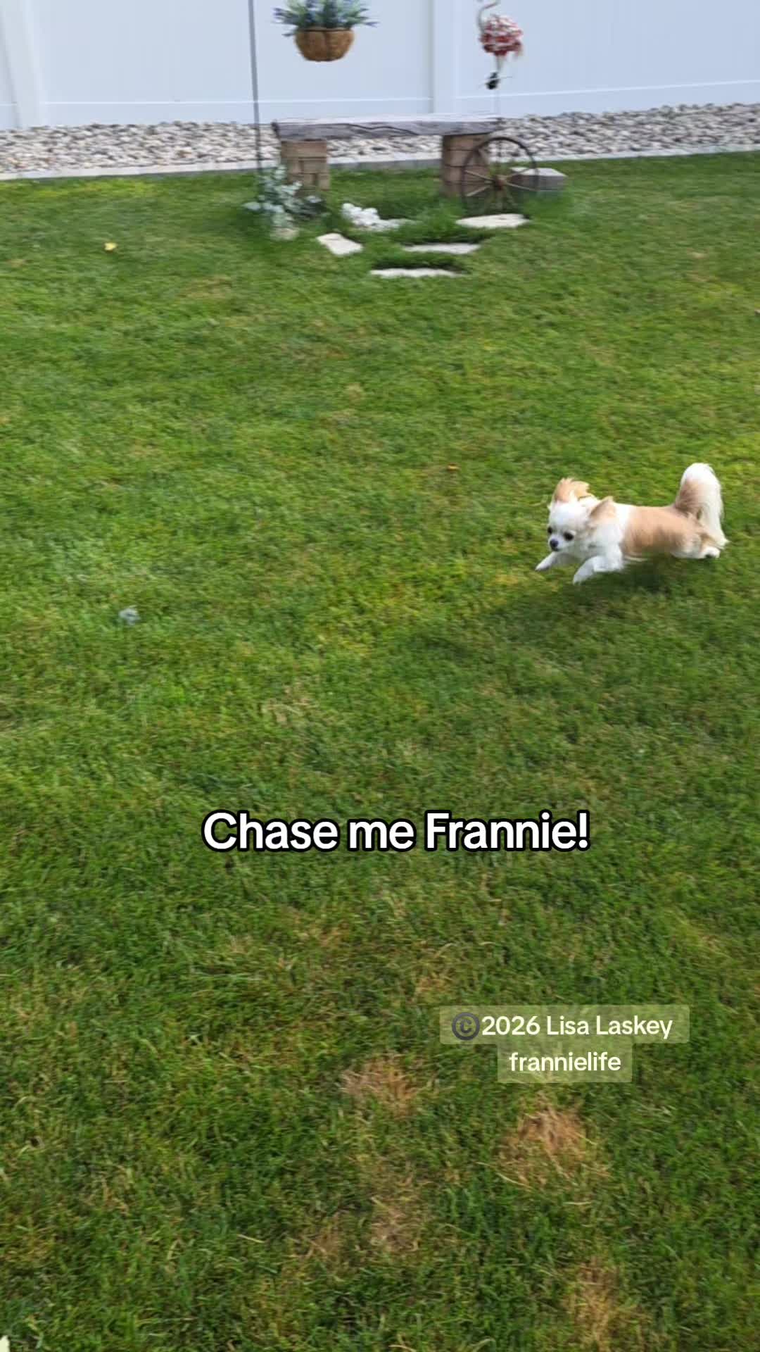 @Frannielife