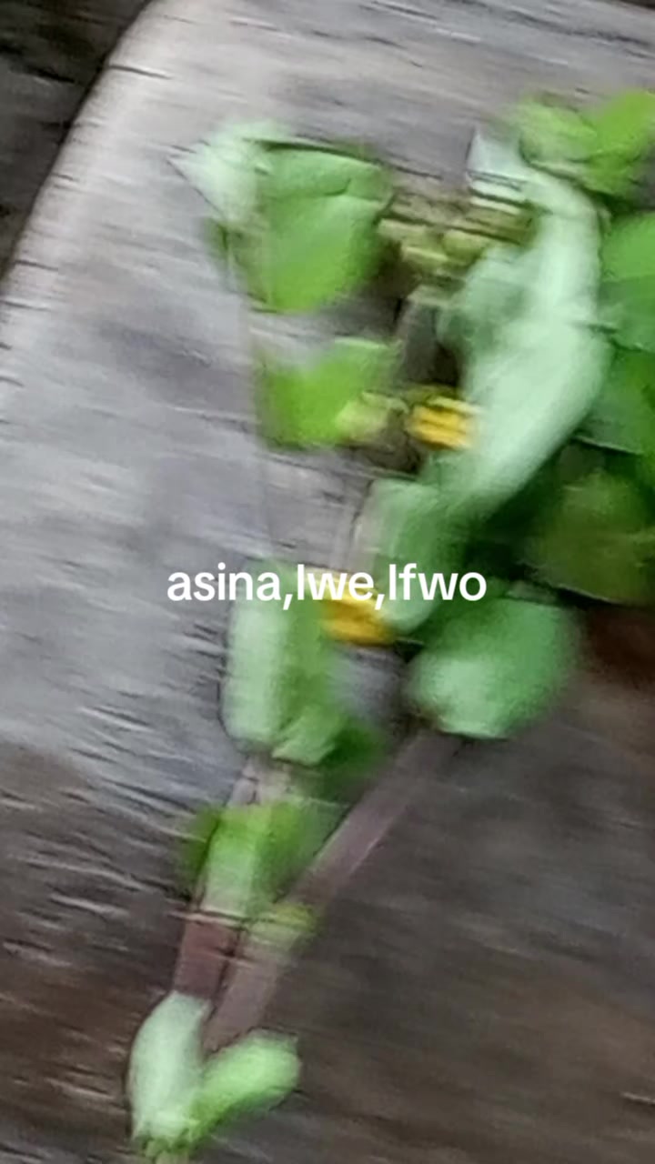 @Dr Omltognu Ogbomnso