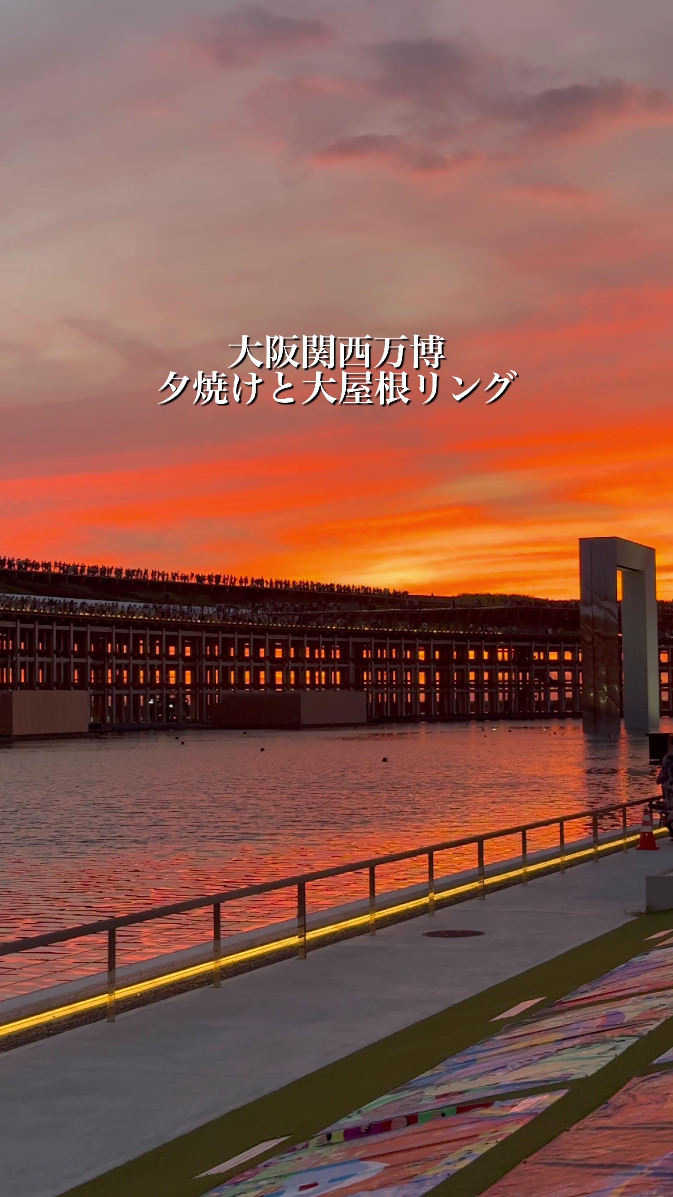 @しぃ|ときめく瞬間を動画に